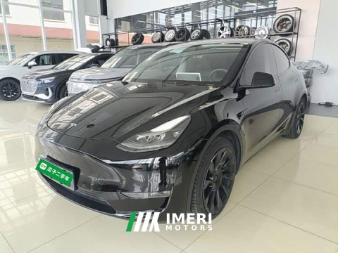 2021 Tesla Model Y Standard Range RWD - ავტომობილი ჩინეთიდან