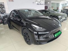 Tesla Model Y Standard Range RWD - ფოტო 4
