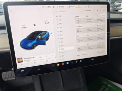 Tesla Model 3 Standard Range RWD Upgrade - ფოტო 13