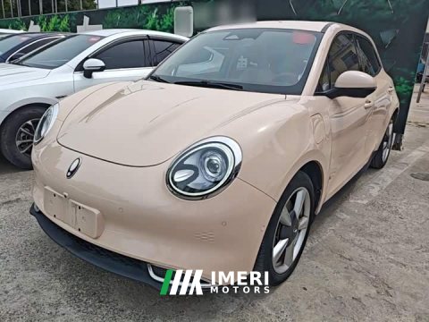 2021 ORA Good Cat 400km Standard Range Athena Edition LFP Battery - ავტომობილი ჩინეთიდან