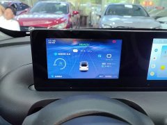 Wuling Binguo 2023 333km Quick Enjoy Edition - ფოტო 8