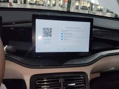 BYD Qin PLUS Glory Edition DM-i 55KM Leading - ფოტო 13