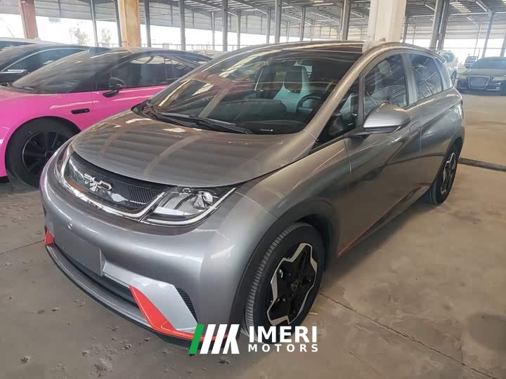 BYD Dolphin 405km Fashion Edition - ავტომობილი ჩინეთიდან