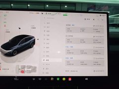 Tesla Model Y L Long Range All-Wheel Drive - ფოტო 12