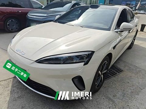 2025 BYD Dolphin 07 DM-i 2026 DM-i 1.5T 230km Flagship - ავტომობილი ჩინეთიდან