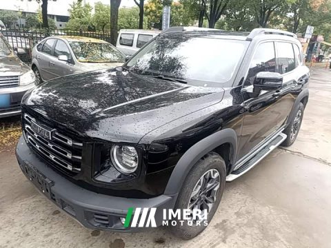 2022 Great Wall Dachshund 2.0T DCT Four-Wheel Drive Chinese Rural Dog Edition - ავტომობილი ჩინეთიდან