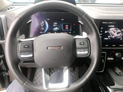 Great Wall Dachshund 2.0T DCT Four-Wheel Drive Chinese Rural Dog Edition - ფოტო 11