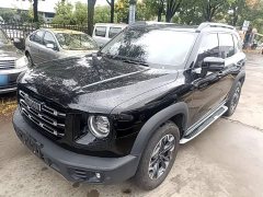 Great Wall Dachshund 2.0T DCT Four-Wheel Drive Chinese Rural Dog Edition - ფოტო 2