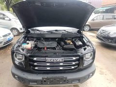 Great Wall Dachshund 2.0T DCT Four-Wheel Drive Chinese Rural Dog Edition - ფოტო 20
