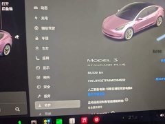 Tesla Model 3 Facelift Standard Range RWD Upgrade 3D1 - ფოტო 12