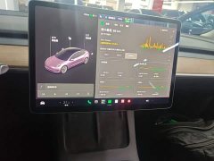 Tesla Model 3 Facelift Standard Range RWD Upgrade 3D1 - ფოტო 13