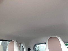 FAW Besturn Xiaoma 222km Cute Horse Plus - ფოტო 18