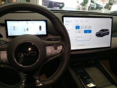 BYD Dolphin 06 DM-i Touring DM-i 150KM Flagship - ფოტო 14