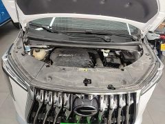 GAC Aion M8 Master Series 400T Premium Edition - ფოტო 20