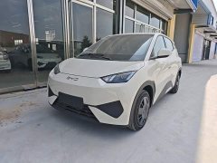 BYD Seagull 2025 Smart Drive 305km Vitality Edition - ფოტო 2