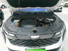 Geely Boyue L 2.0TD DCT Flagship - ფოტო 20