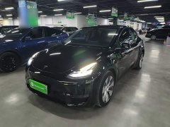Tesla Model Y Long Range All-Wheel Drive - ფოტო 1