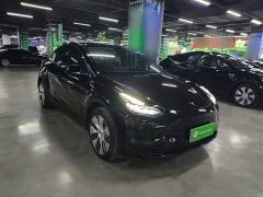 Tesla Model Y Long Range All-Wheel Drive - ფოტო 4