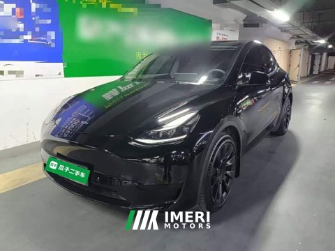 2022 Tesla Model Y Rear-Wheel Drive - ავტომობილი ჩინეთიდან