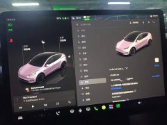 Tesla Model Y Rear-Wheel Drive - ფოტო 12