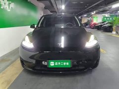 Tesla Model Y Rear-Wheel Drive - ფოტო 3