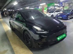 Tesla Model Y Rear-Wheel Drive - ფოტო 4