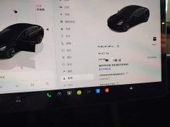 Tesla Model 3 2022 Rear-Wheel Drive - ფოტო 12