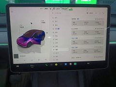 Tesla Model Y Rear-Wheel Drive - ფოტო 12