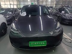 Tesla Model Y Rear-Wheel Drive - ფოტო 3
