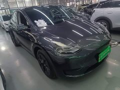 Tesla Model Y Rear-Wheel Drive - ფოტო 4