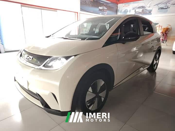 BYD Dolphin 420km Freedom Edition - ავტომობილი ჩინეთიდან