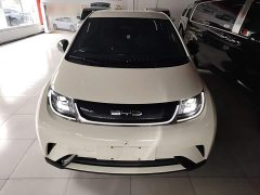 BYD Dolphin 420km Freedom Edition - ფოტო 3