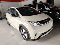 BYD Dolphin 420km Freedom Edition - ფოტო 4