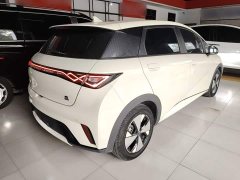 BYD Dolphin 420km Freedom Edition - ფოტო 7