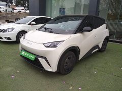 BYD Seagull Glory Edition 305km Vitality Version - ფოტო 1
