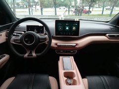 BYD Seagull Glory Edition 305km Vitality Version - ფოტო 10