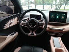 BYD Seagull Glory Edition 305km Vitality Version - ფოტო 11