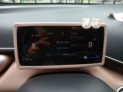 BYD Seagull Glory Edition 305km Vitality Version - ფოტო 12
