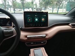 BYD Seagull Glory Edition 305km Vitality Version - ფოტო 13