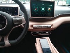 BYD Seagull Glory Edition 305km Vitality Version - ფოტო 14