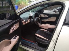 BYD Seagull Glory Edition 305km Vitality Version - ფოტო 15