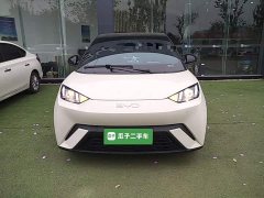 BYD Seagull Glory Edition 305km Vitality Version - ფოტო 3