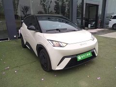 BYD Seagull Glory Edition 305km Vitality Version - ფოტო 4