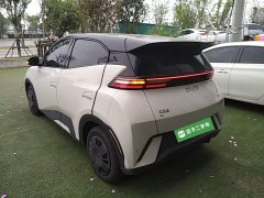 BYD Seagull Glory Edition 305km Vitality Version - ფოტო 5