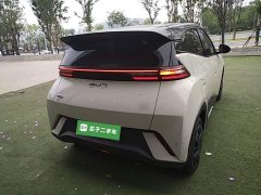 BYD Seagull Glory Edition 305km Vitality Version - ფოტო 6