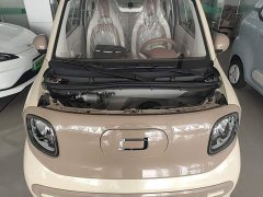 FAW Besturn Xiaoma 222km Colorful Edition - ფოტო 20
