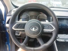 Audi Cannon 2.0T Commercial Auto Gasoline 2WD Elite Long Bed GW4C20B - ფოტო 11