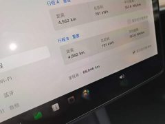 Tesla Model Y Long Range All-Wheel Drive - ფოტო 12