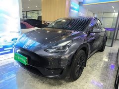 Tesla Model Y Rear-Wheel Drive - ფოტო 1