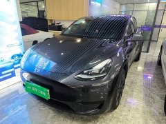Tesla Model Y Rear-Wheel Drive - ფოტო 3